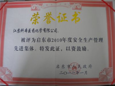 2010安全生產(chǎn)先進(jìn)集體